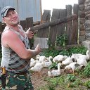 ���� ������� �����, ���������� - ��������� 17 ������ 2017 � ������ ���� ����������