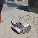 ���� ������, �����, 64 ���� - ��������� 16 ������ 2017 � ������ ���� ����������