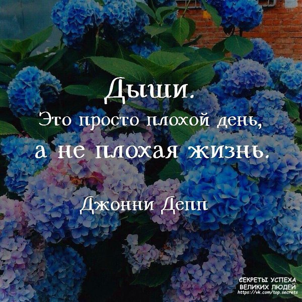     - 25  2017  06:46