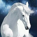 ���� ��e����, �����������-��-�����, 40 ��� - ��������� 30 �������� 2017