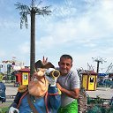 ���� �����, �������� - ��������� 4 �������� 2017 � ������ ���� ����������