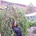 ���� Bastet6, �����-��������� - ��������� 7 ������ 2017 � ������ ���� ����������