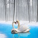 ���� ���������, ������, 44 ���� - ��������� 12 ������� 2017