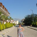  , -, 42  -  8  2017   , 2017 ()