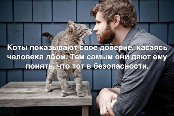  - 3  2017  16:10