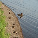 ���� ������, �������� - ��������� 25 ���� 2017 � ������ ��������� �� �.�����������.�