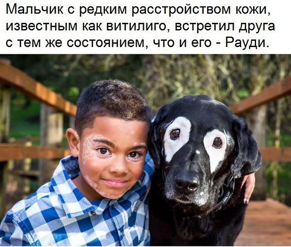   - 22  2017  01:34
