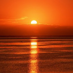 ���� ������, ���������, 49 ��� - ��������� 3 ������� 2017