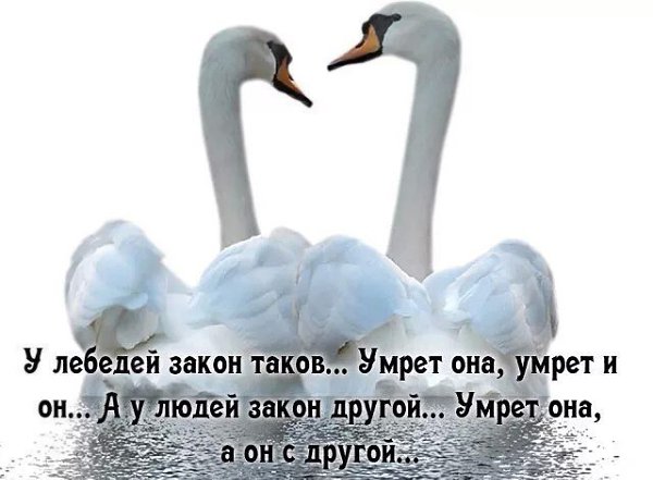Говорят, что женщина должна дважды побывать замужем. Первый раз -для шока, второй — для шика… ... - 2