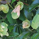  , , 60  -  12  2017   , 2017, ,.