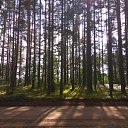 ���� Aleksandr, �����, 51 ��� - ��������� 1 �������� 2017 � ������ ������ ��������