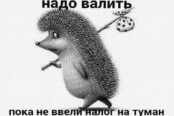      - 14  2017  07:18