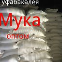 ���� ����������.��, ���, 46 ��� - ��������� 10 ������ 2017 � ������ ���� ����������