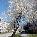 ���� ��������, ������-��-����, 76 ��� - ��������� 2 ��� 2017 � ������ ������ ��������