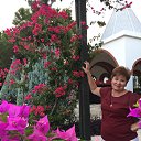 ���� �������, ������-��-���� - ��������� 14 �������� 2017 � ������ ������� 09.2017�