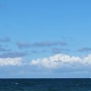 ���� �, ������, 58 ��� - ��������� 28 ������� 2017 � ������ �Ostsee�