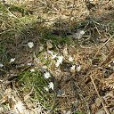 ���� ���������, ���������� - ��������� 24 ������ 2017 � ������ �23-04-17�