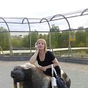 ���������� �������. �� ������� ���� ����������