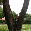 ���� ������, ������ - ��������� 11 ���� 2017 � ������ ���� ����������