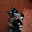 ���� ������, ������� - ��������� 30 ���� 2017 � ������ ������� ���������