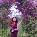 ���� �����, ������, 48 ��� - ��������� 31 ������� 2017 � ������ ����� - ����� 2017�