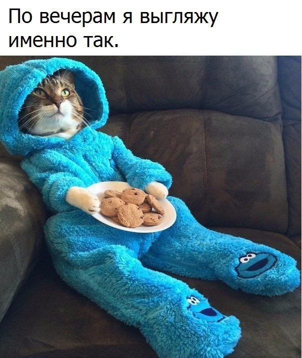    :D - 10  2017  23:30