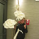 ���� ���������, ������� - ��������� 26 �������� 2017 � ������ ���� ����������