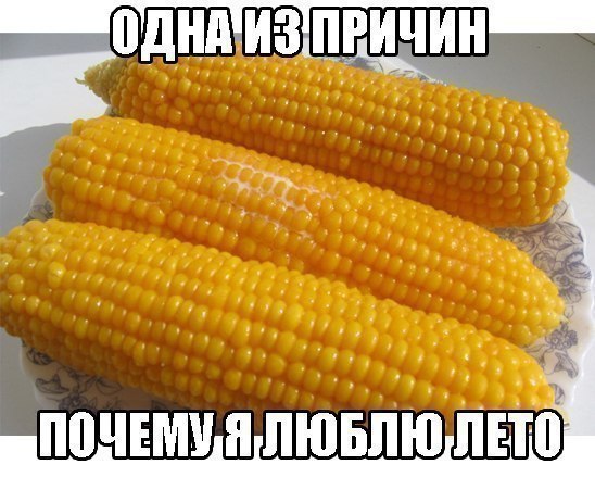    :D - 24  2017  07:37