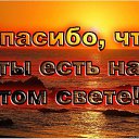 ���� ������, ���������, 67 ��� - ��������� 3 ������� 2017 � ������ ���� ����������