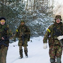 ���� ����, �����, 41 ��� - ��������� 16 ������ 2017