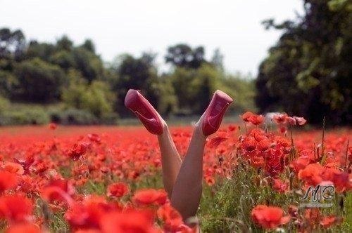   ,   !!! ...  - ,    ..!))))