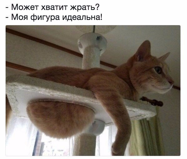   - 10  2017  13:52