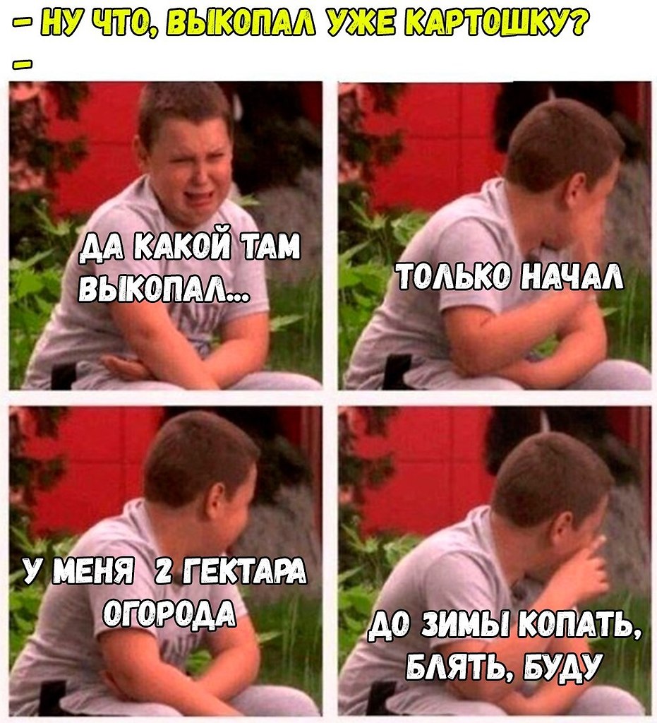 �� - 29 ������� 2017 � 12:11