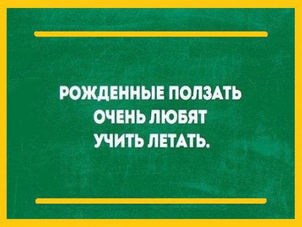      - 6  2017  13:47