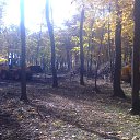 ���� ������, ������, 45 ��� - ��������� 15 ������� 2017 � ������ ���� ����������