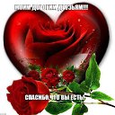 ���� Gari-bolgaria - Usa., ��������� - ��������� 7 ������ 2017 � ������ ������ ��������