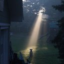 ���� Saneccck, ������, 40 ��� - ��������� 12 �������� 2017