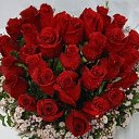  Kamal, , 59  -  19  2017   3D gallery