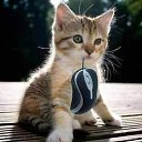 ���� �������, ������ - ��������� 7 ������� 2017 � ������ ��������