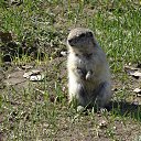 ���� ����, ����������, 57 ��� - ��������� 29 ������ 2017 � ������ ������ 2017�