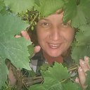 ���� �������, ��������, 54 ���� - ��������� 16 ���� 2017 � ������ ���� ����������