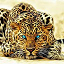 ���� ������, ������, 48 ��� - ��������� 8 ���� 2017 � ������ ���� ����������