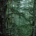 ���� �������, ������, 59 ��� - ��������� 31 ������� 2017