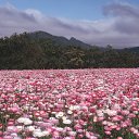 ���� �����, ��������� - ��������� 11 ��� 2017 � ������ ������ ��������