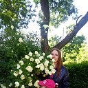 ���� ����, �����-��������� - ��������� 14 ������� 2017 � ������ ���� ����������