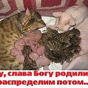 ���� ��������, ������������, 51 ��� - ��������� 16 ������ 2017 � ������ ������ ��������