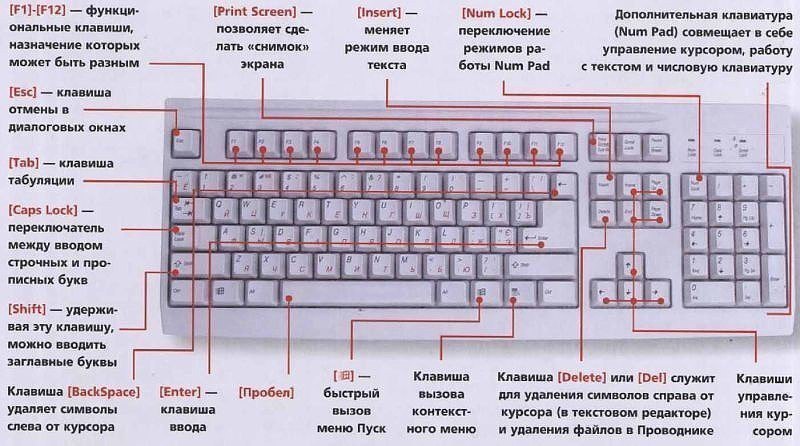 ЗНАЕТЕ ЛИ ВЫ КЛАВИАТУРУ НА СВОЁМ КОМПЬЮТЕРЕ? F1— вызывает «справку» Windows или окно помощи активной ...