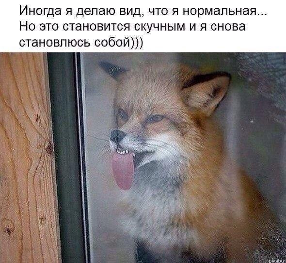 ...���� � ���������� ����� :)