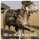 ���� ������, ���������� �����, 45 ��� - ��������� 4 �������� 2017 � ������ ������ ��������