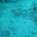 ���� ��������, �����, 57 ��� - ��������� 19 ������� 2017 � ������ ������� 2017�